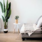 appartement LMNP-salon canapé table d'appoint plante parquet