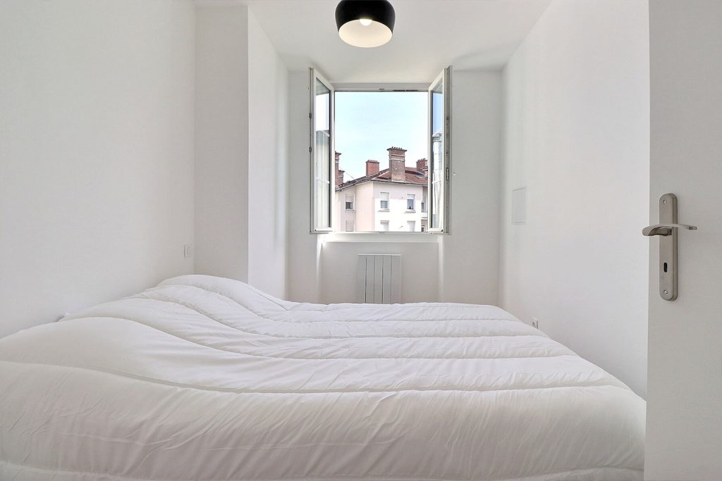 immobilier lyon 3