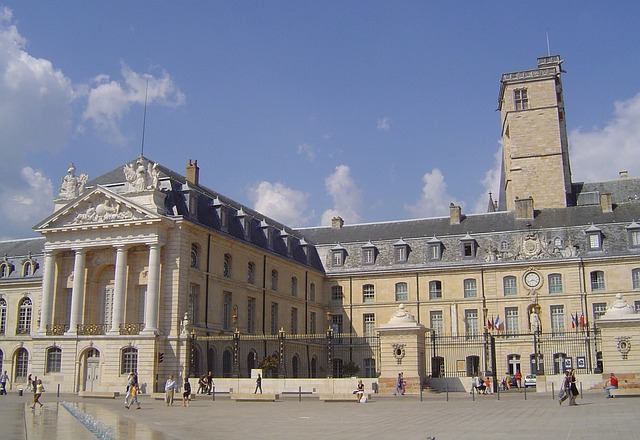 pinel dijon-centre ville de Dijon
