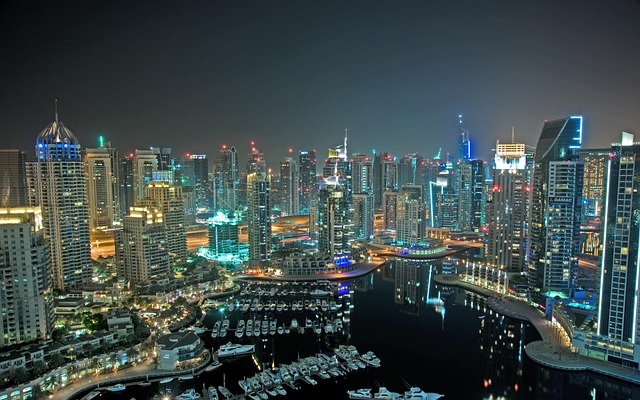 vivre a dubai-vue de la ville de Dubaï de nuit