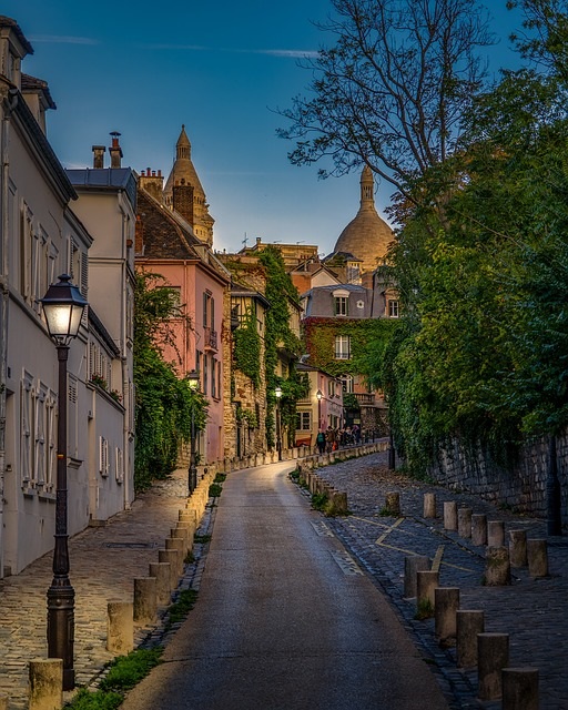 investissement immobilier expatriés-vue du quartier Montmartre à Paris