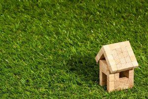 immobilier écologique-maison en bois-pelouse